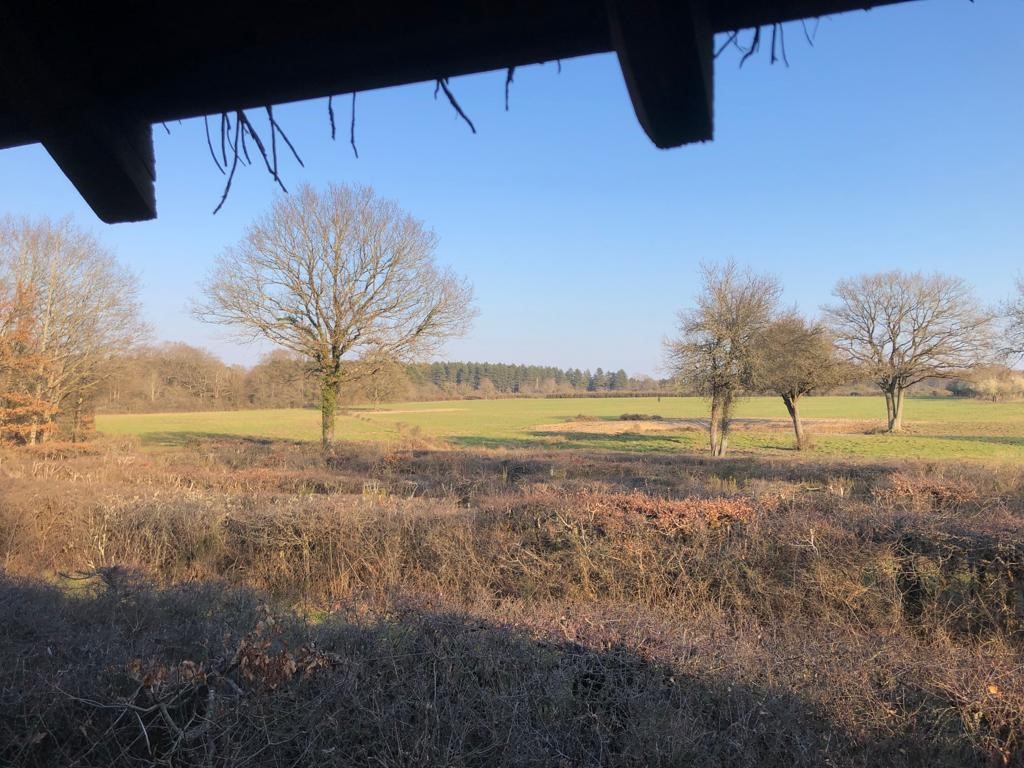 Vue depuis un des observatoires du domaine de Chambord