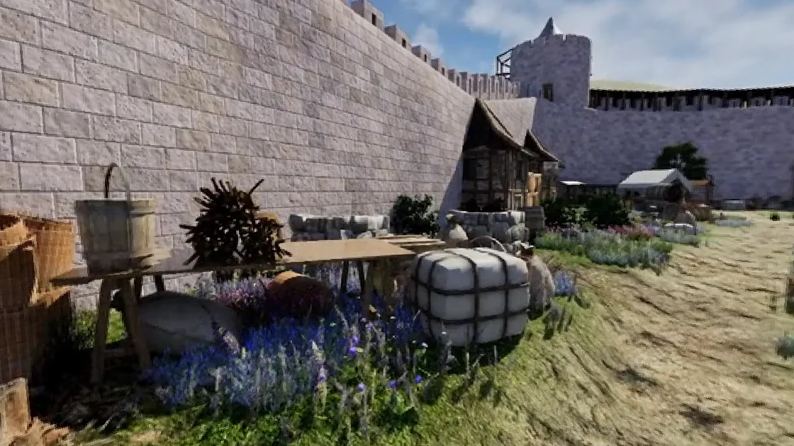 La haute cour et le donjon La haute cour et le donjon
